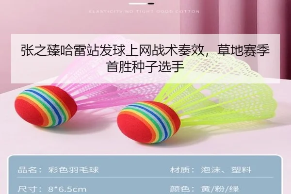 张之臻哈雷站发球上网战术奏效，草地赛季首胜种子选手