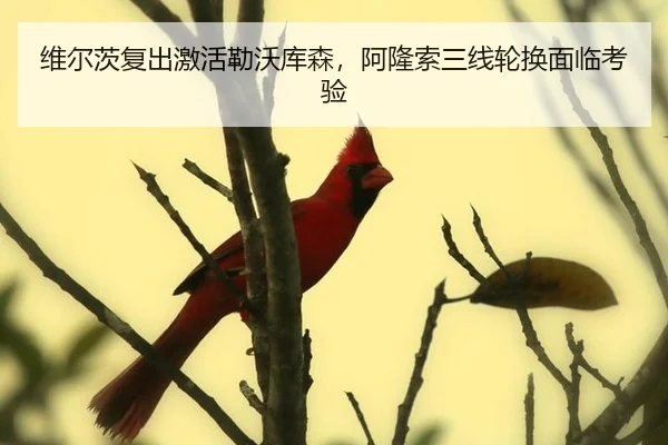 wei-er-ci-fu-chu-ji-huo-lei-wo-ku-sen-a-long-suo-san-xian-lun-huan-mian-lin-kao-yan-2-730.jpg